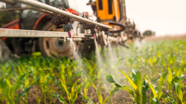 Best Wildlife Control Services  in Mmerce City, CO