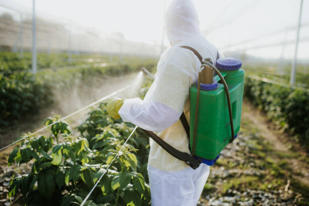 Best Bed Bug Extermination  in Mmerce City, CO